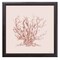 12" x 12" Pink Coral II Framed Wall Art, Contemporary Nature Home Décor, Glass Facing and Hanging Hardware Included